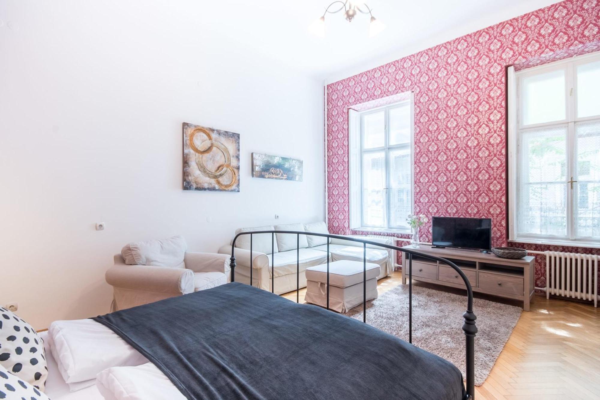 Comfy Large Apartament
