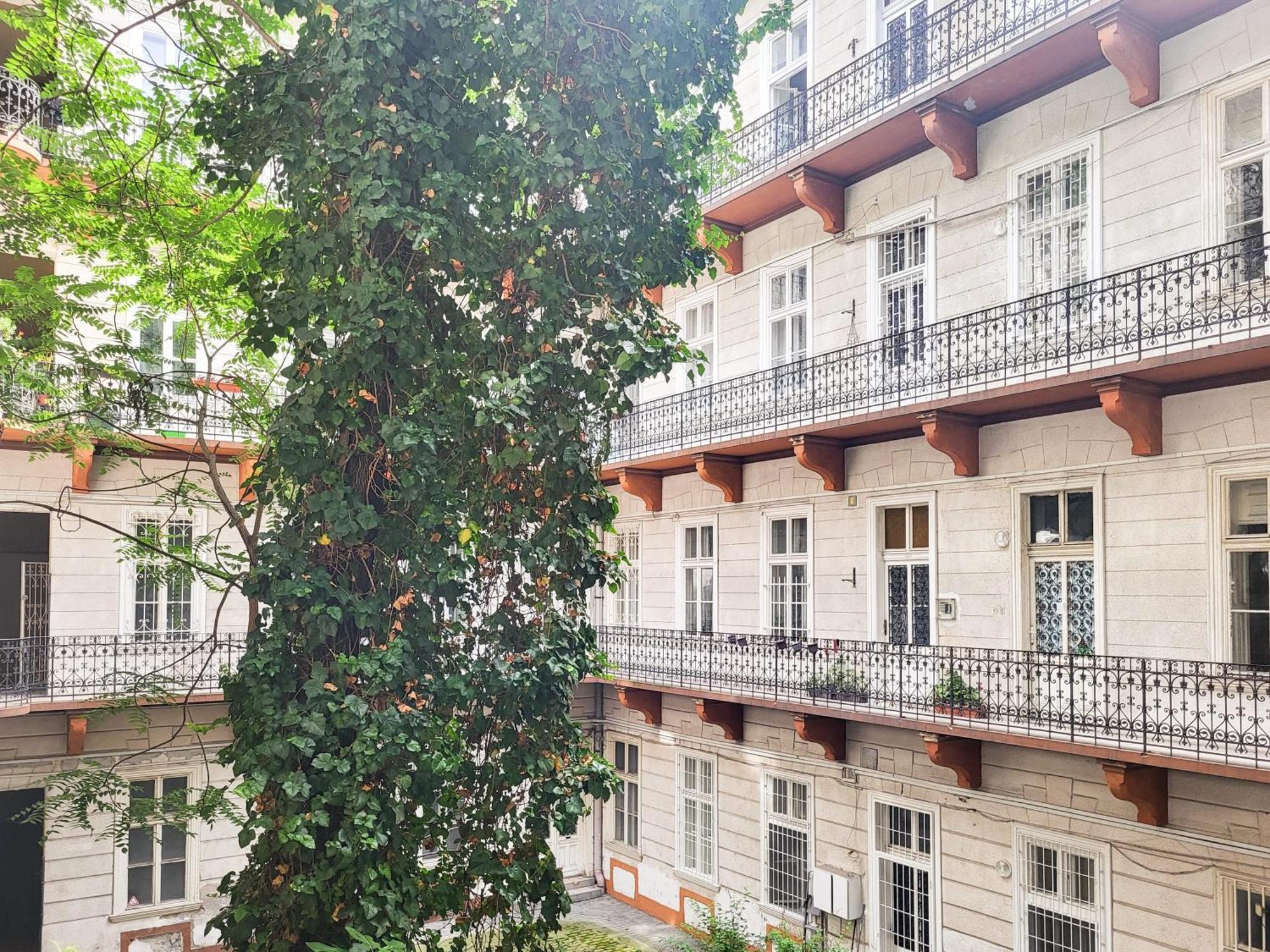 Apartamento Comfy Large *